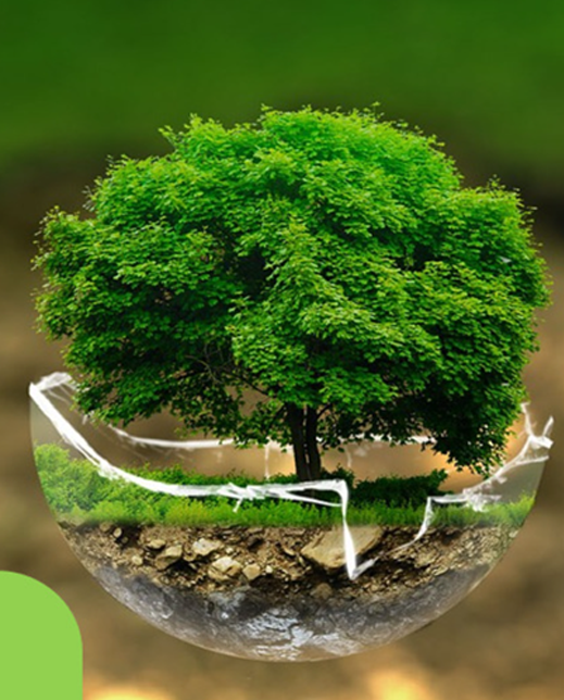 Biomass