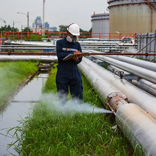 Renovo Bio solutions Private Limited Renovo Bio solutions Private Limited
